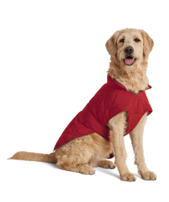 Unionthread.shop22bdbdf1e2 1