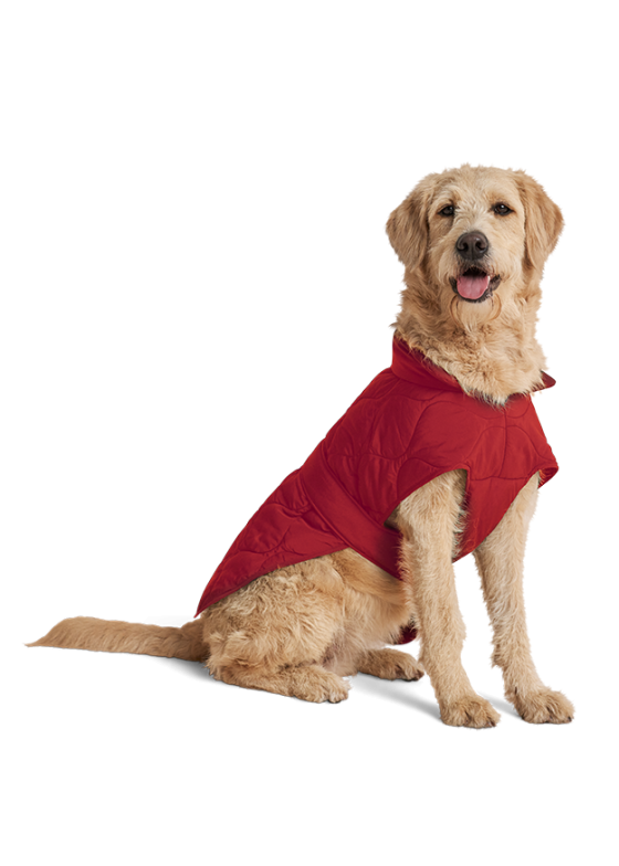 Unionthread.shop22bdbdf1e2 1