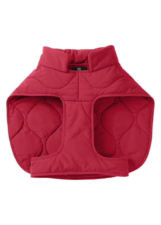 Unionthread.shop22bdbdf1e2 3