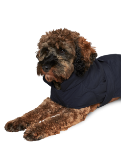 Unionthread.shop7bf509b022 1