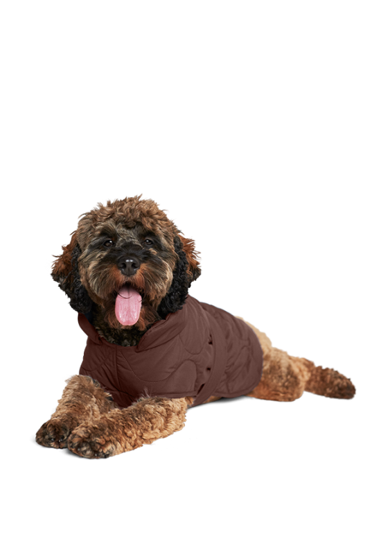 Unionthread.shopb679e4aac0 1