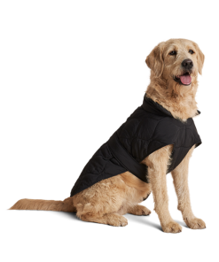 Unionthread.shopdf45306bec 1