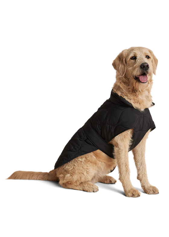 Unionthread.shopdf45306bec 1